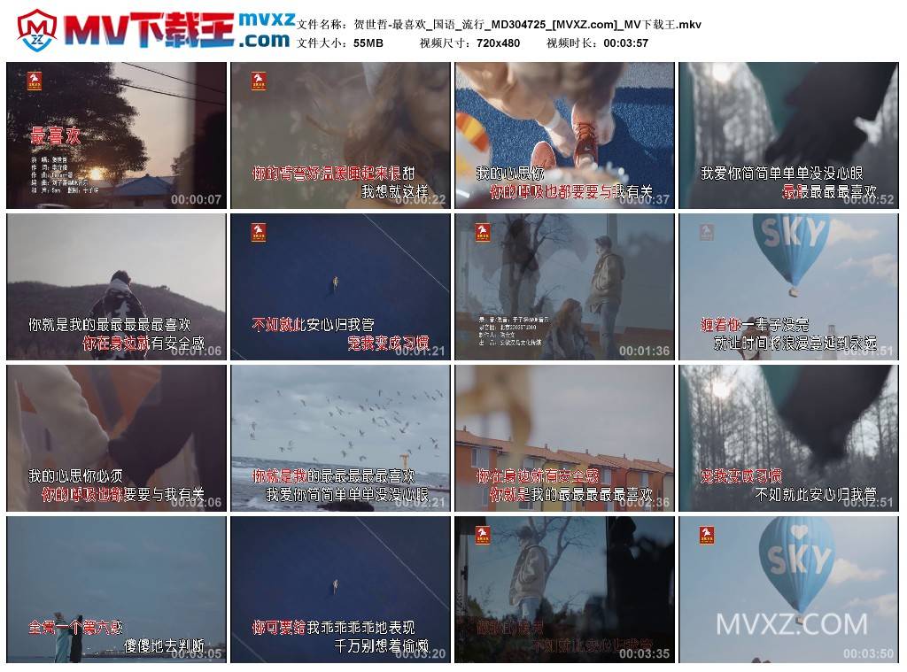 贺世哲-最喜欢_国语_流行_MD304725